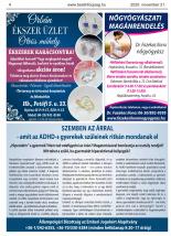 2025. november 21. - 4. oldal